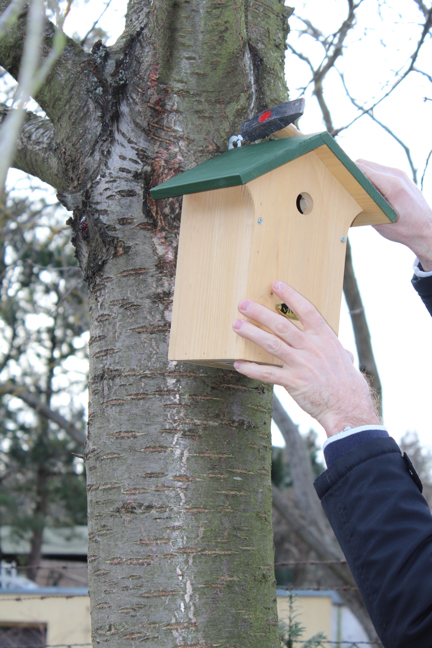 Nistkasten aufhängen