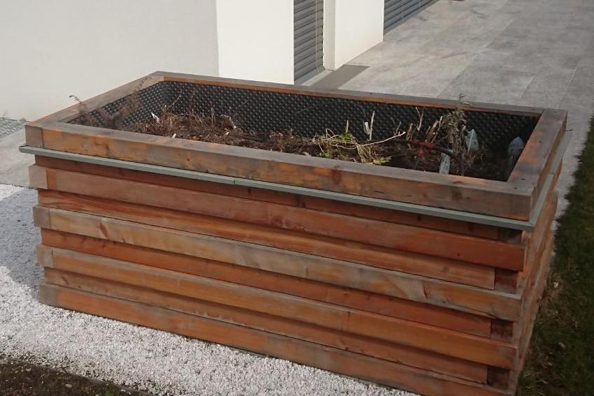 (c) Grashüpfer Hochbeet