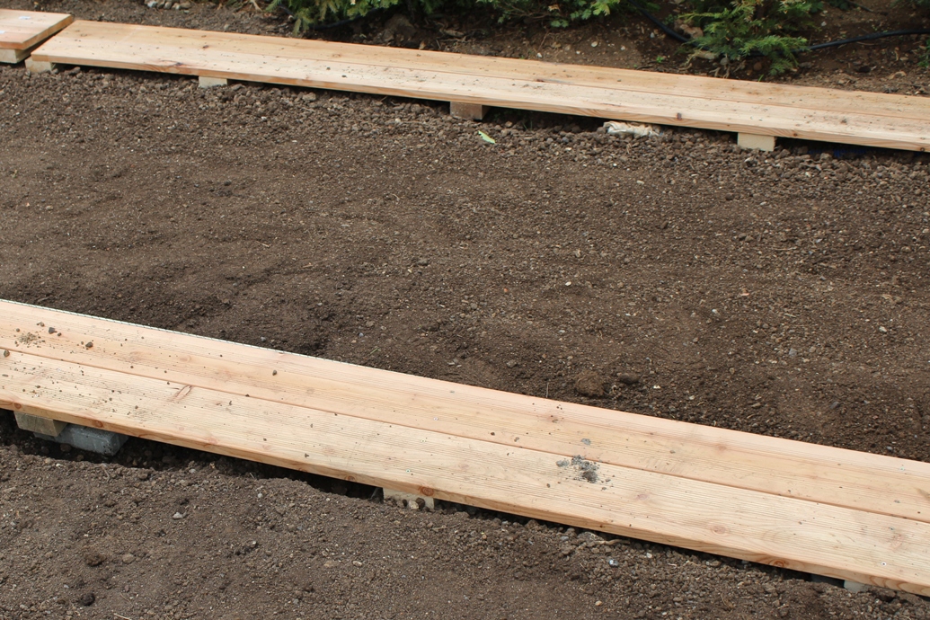 (c) Grashüpfer, Gemüsebeet - Wege