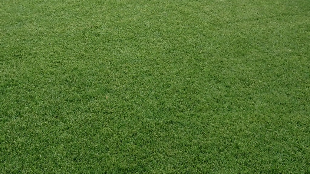 Richtige Rasenpflege im Sommer