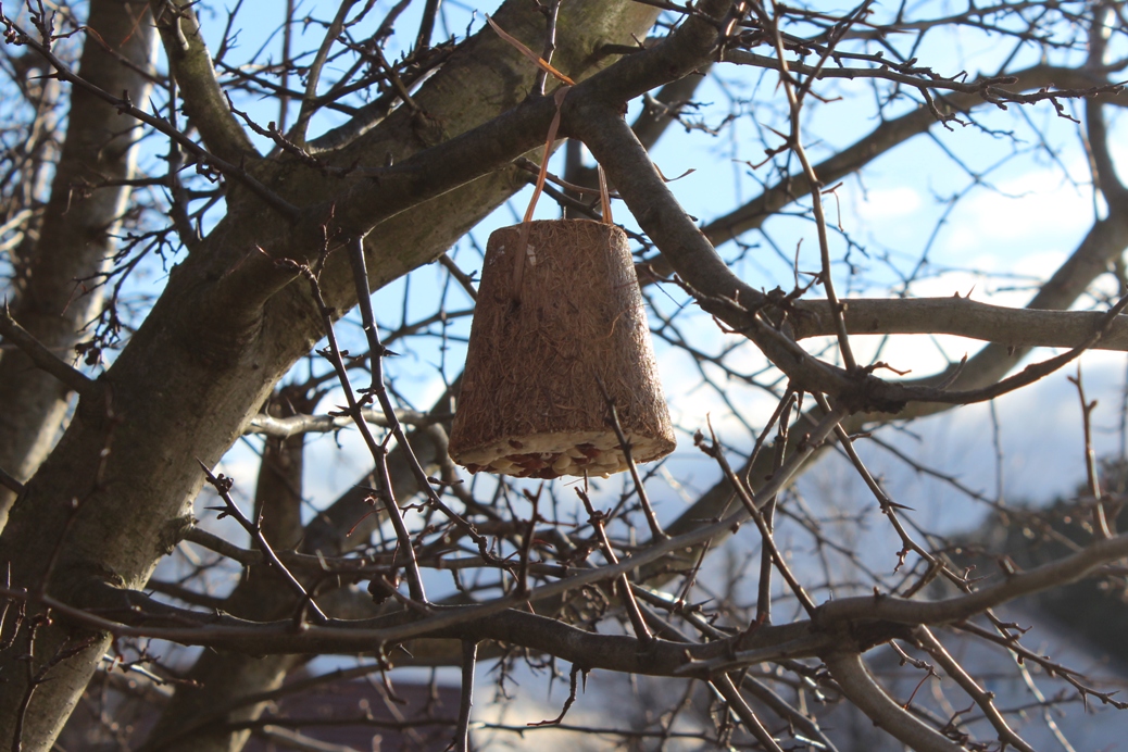 Vogelfreundlicher Garten: futterglocke