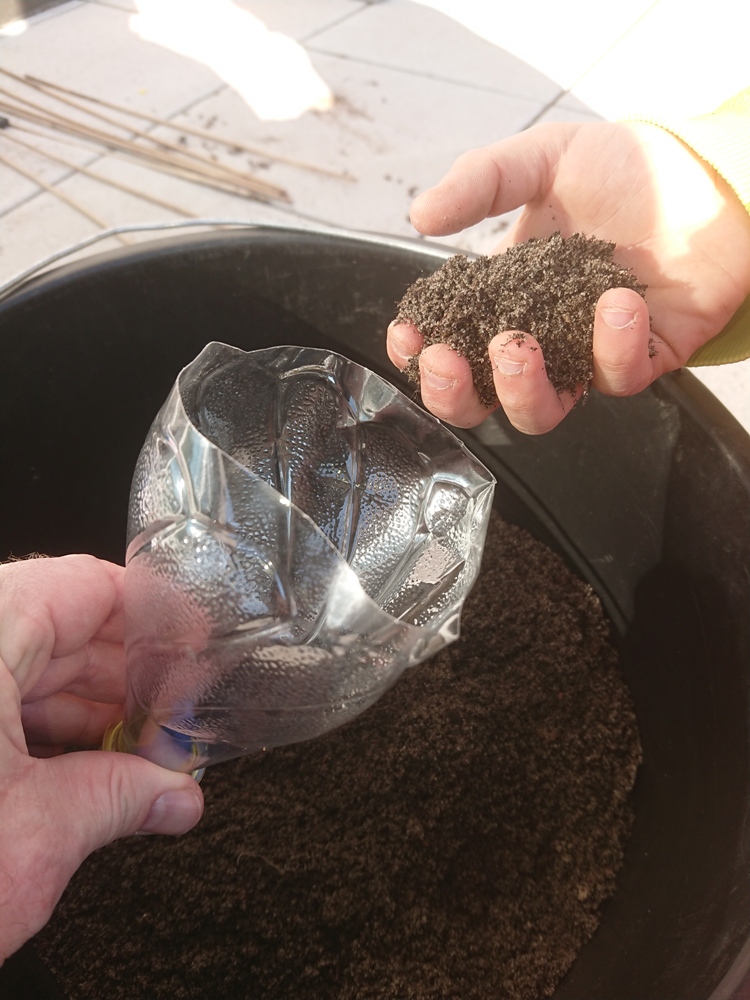 Gemüse vorziehen in PET-Flaschen: Erde einfüllen