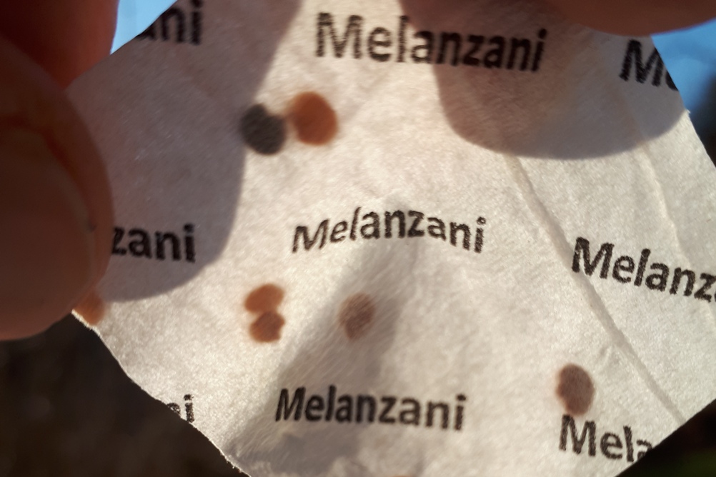 Gemüse vorziehen in PET-Flaschen: Gemüsesamen