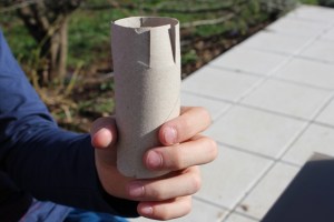 Sämlinge vereinzeln - WC-Papierrollen vorbereiten