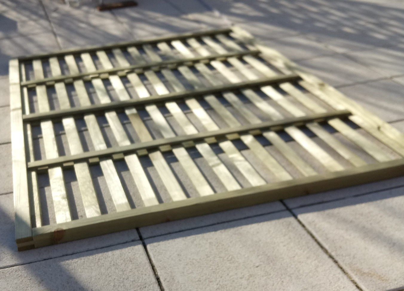 (c) Grashüpfer, Rankgerüst bauen