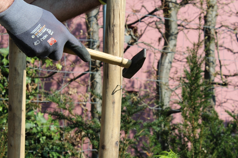 Rankgerüst - U-Hakerl montieren