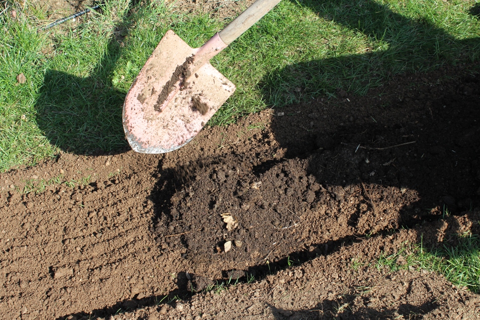 Naschgarten anlegen, Humus einarbeiten