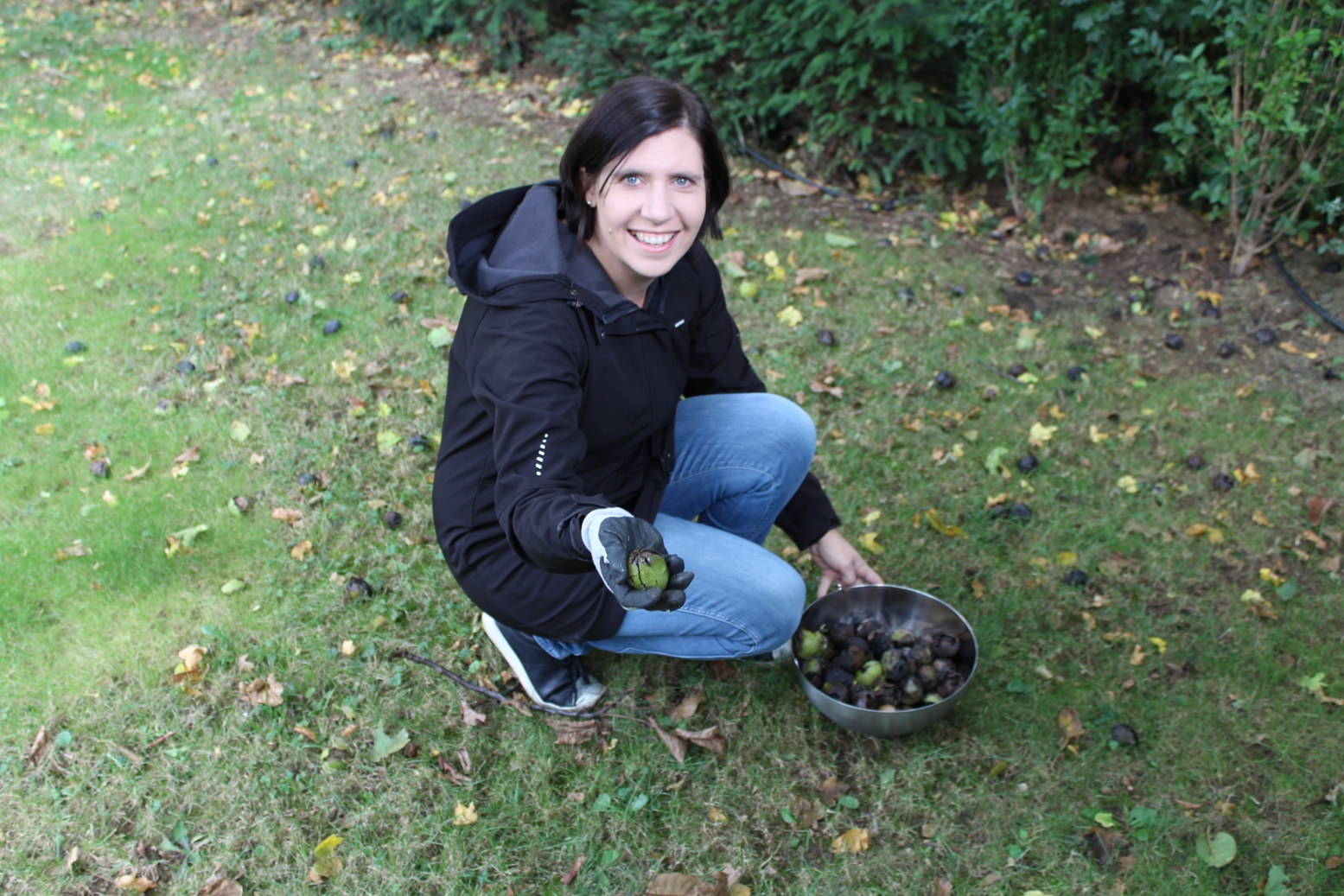 (c) Grashüpfer, Walnüsse klauben